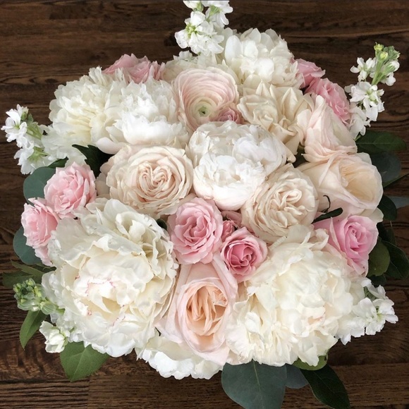 Meet your Posher, Christina - Picture 1 of 1